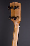 clawhammer banjo